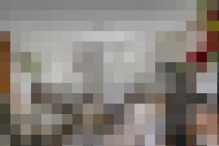 Zeester 57 Katwijk thumbnail 8