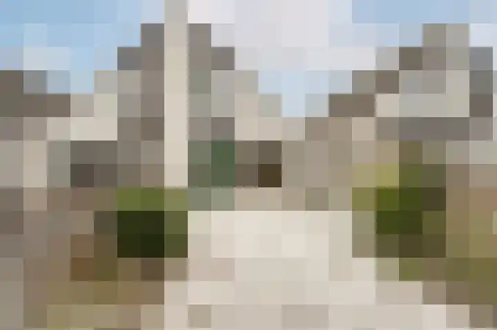 Zeester 94 Katwijk thumbnail 25