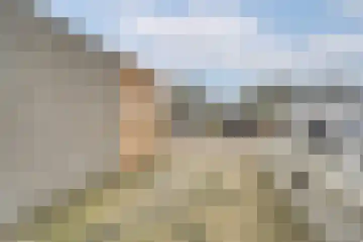 Zeester 94 Katwijk thumbnail 27