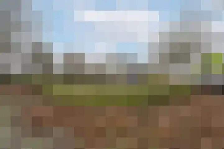 Zeester 94 Katwijk thumbnail 28