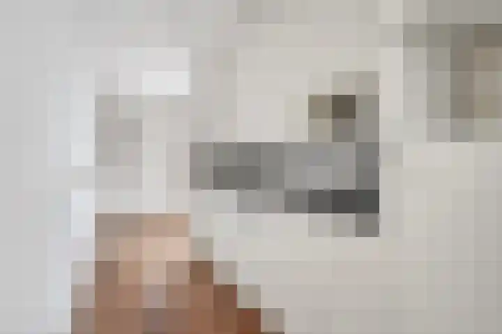 Zeester 94 Katwijk thumbnail 4