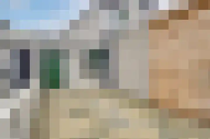 Zeester 94 Katwijk thumbnail 5