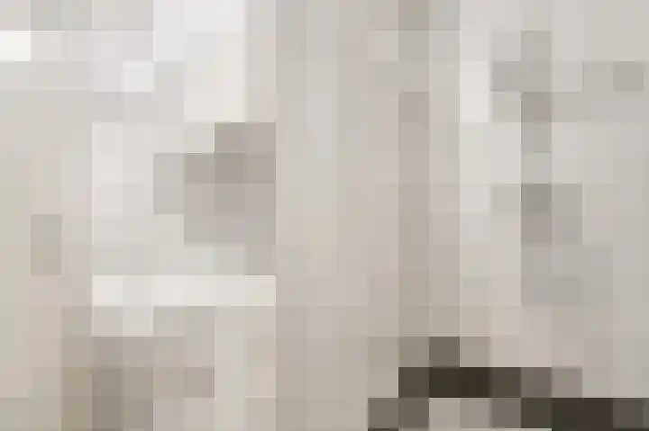 Zeester 94 Katwijk thumbnail 7