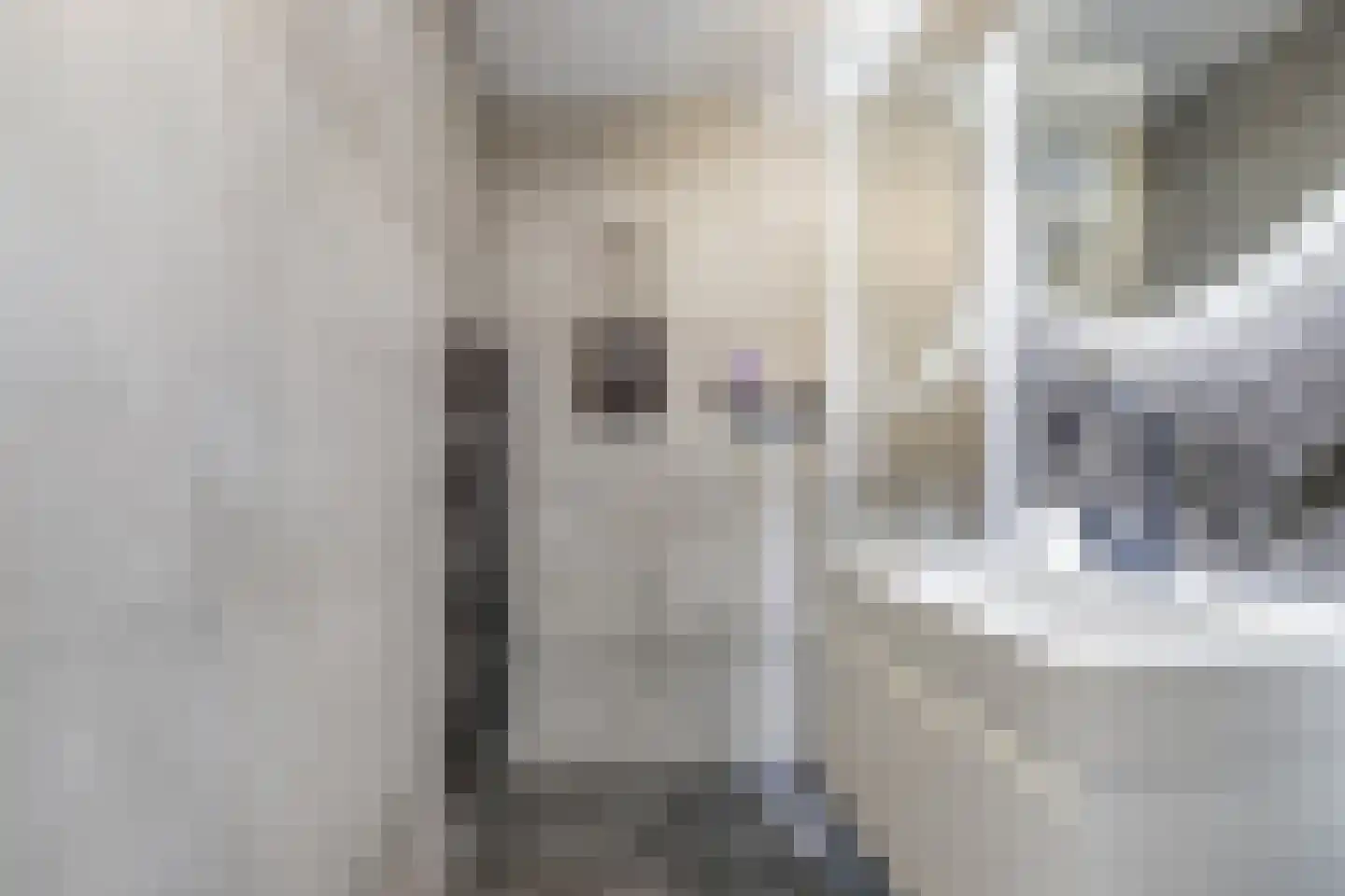 Zeester 96 Katwijk thumbnail 10