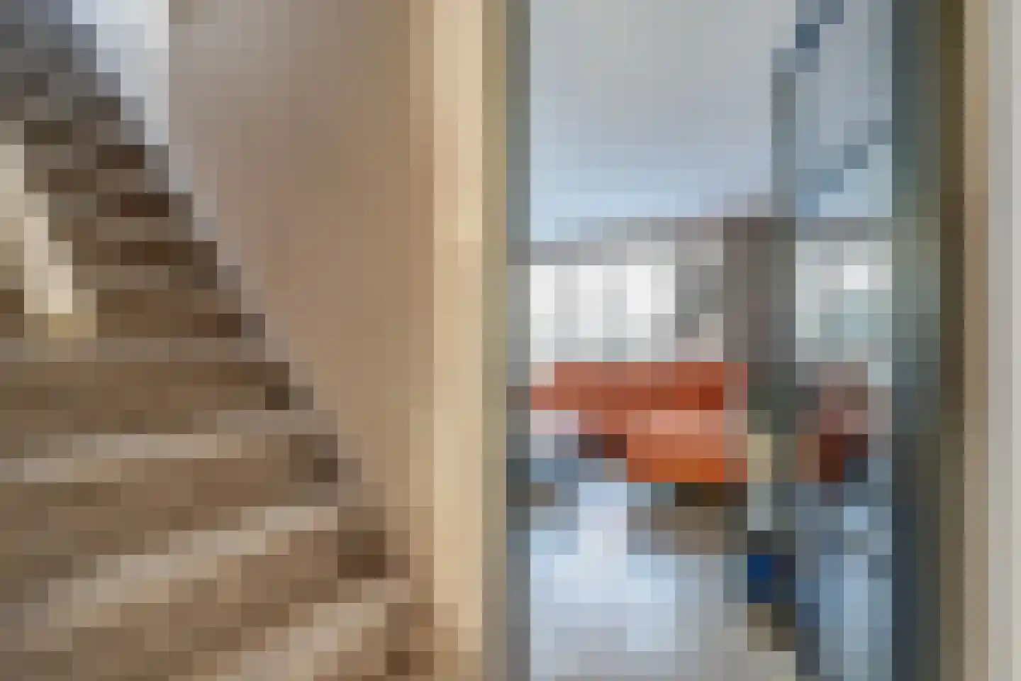 Zeester 96 Katwijk thumbnail 12