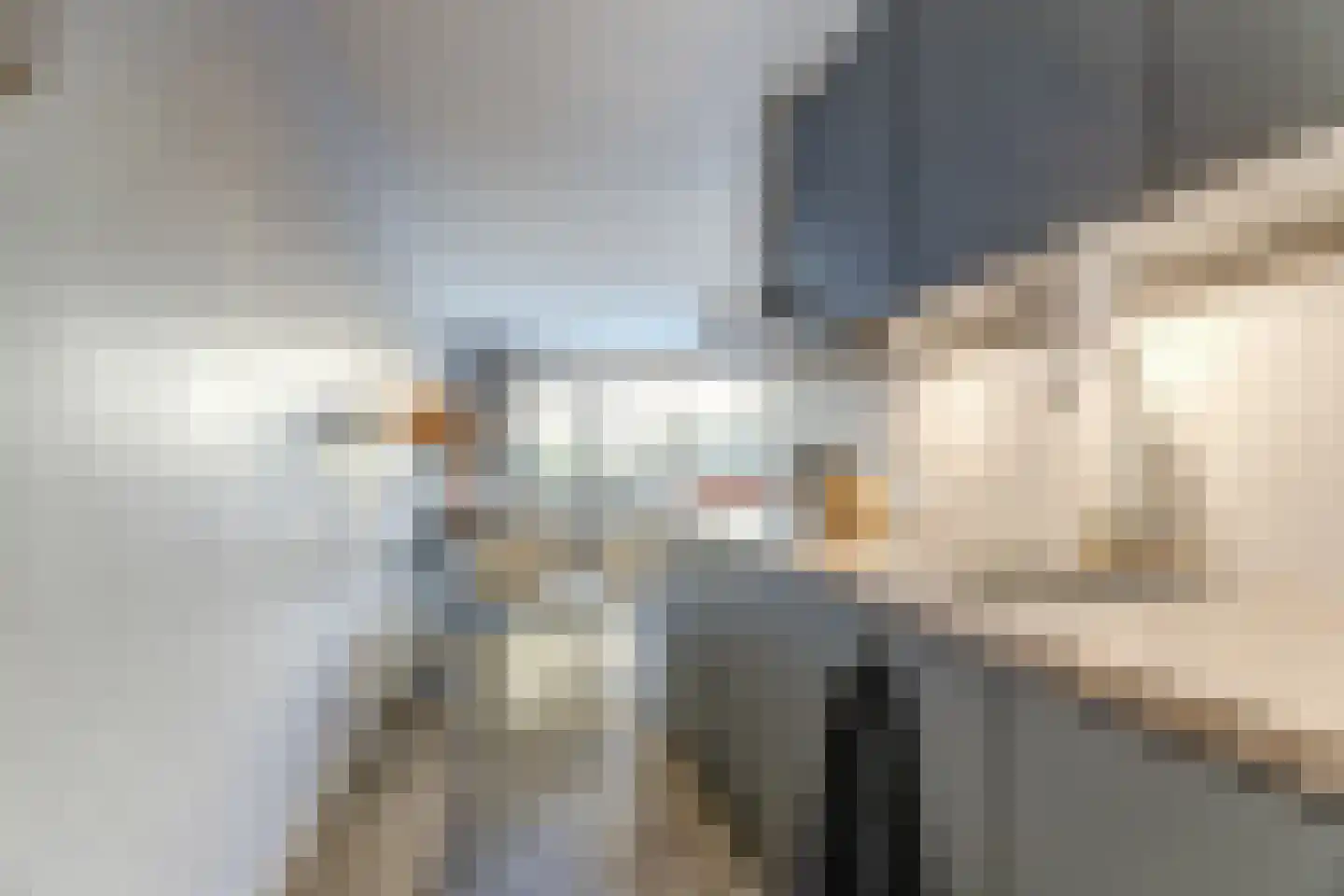 Zeester 96 Katwijk thumbnail 18