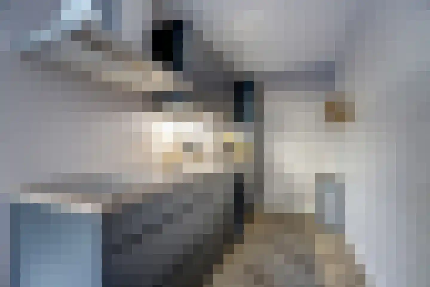 Zeester 96 Katwijk thumbnail 19