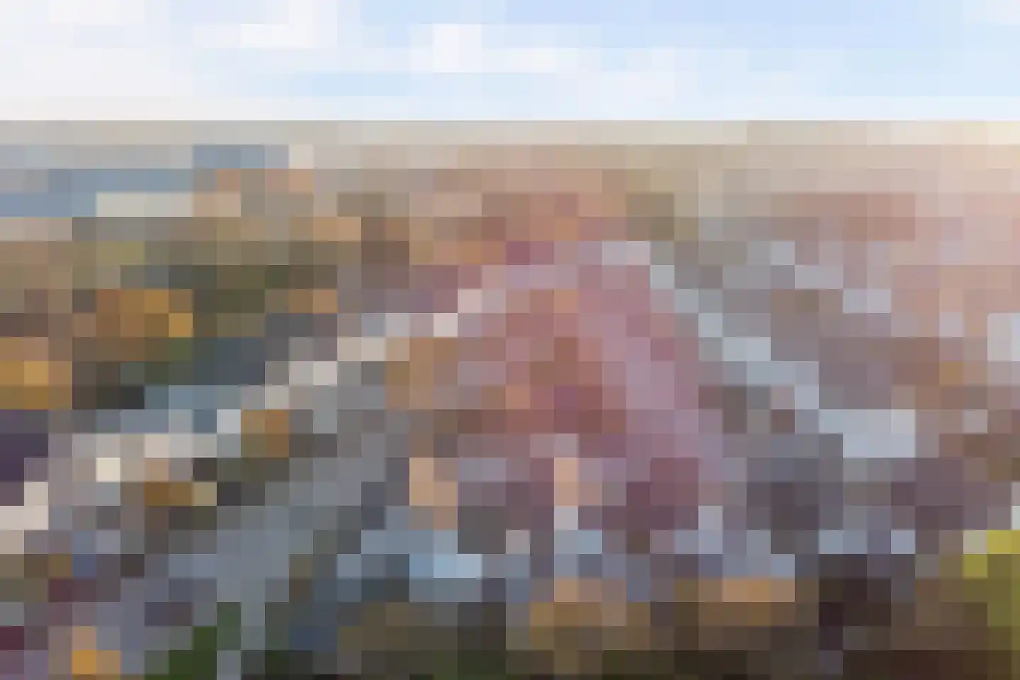 Zeester 96 Katwijk thumbnail 38