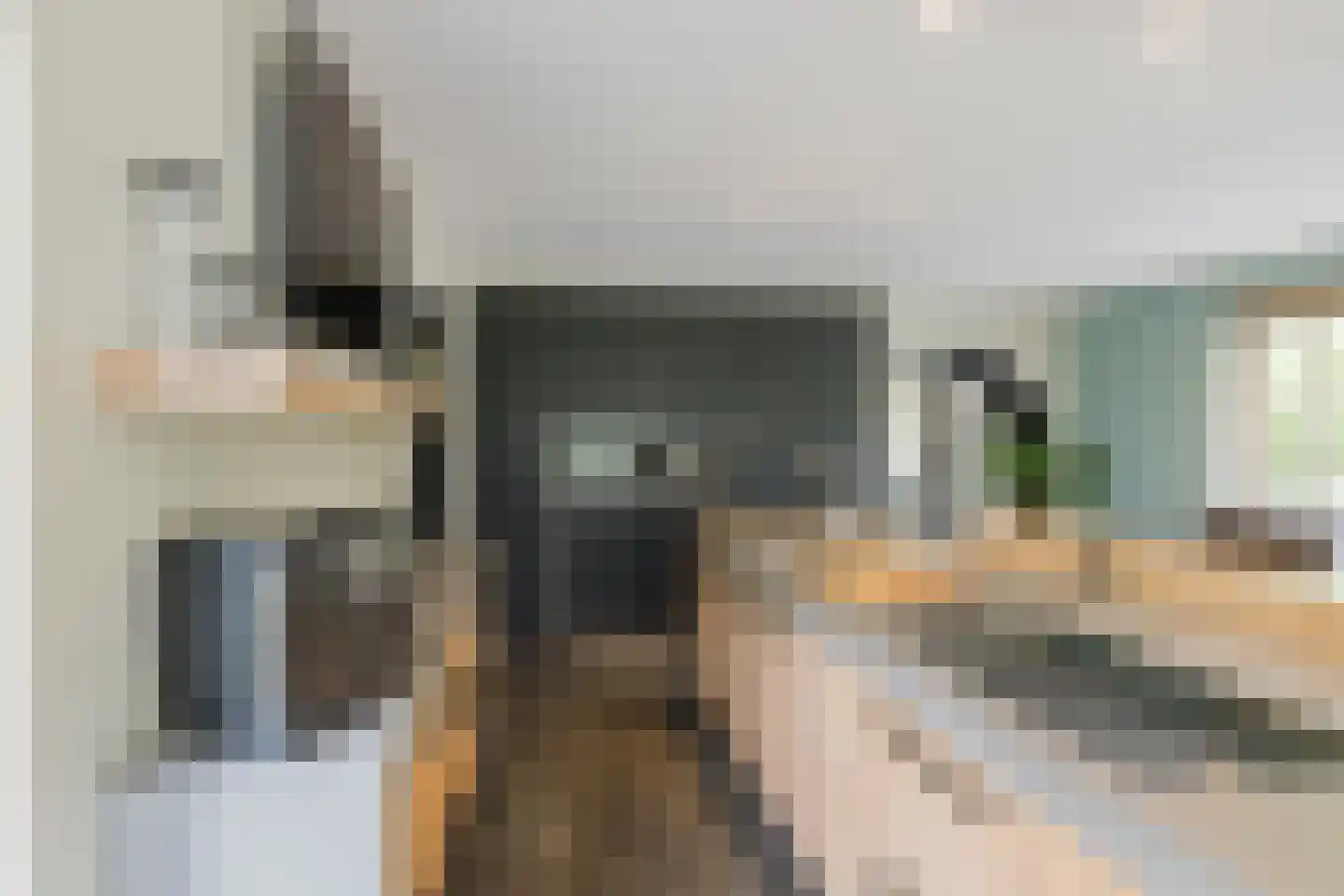 Zeester 97 Katwijk thumbnail 19