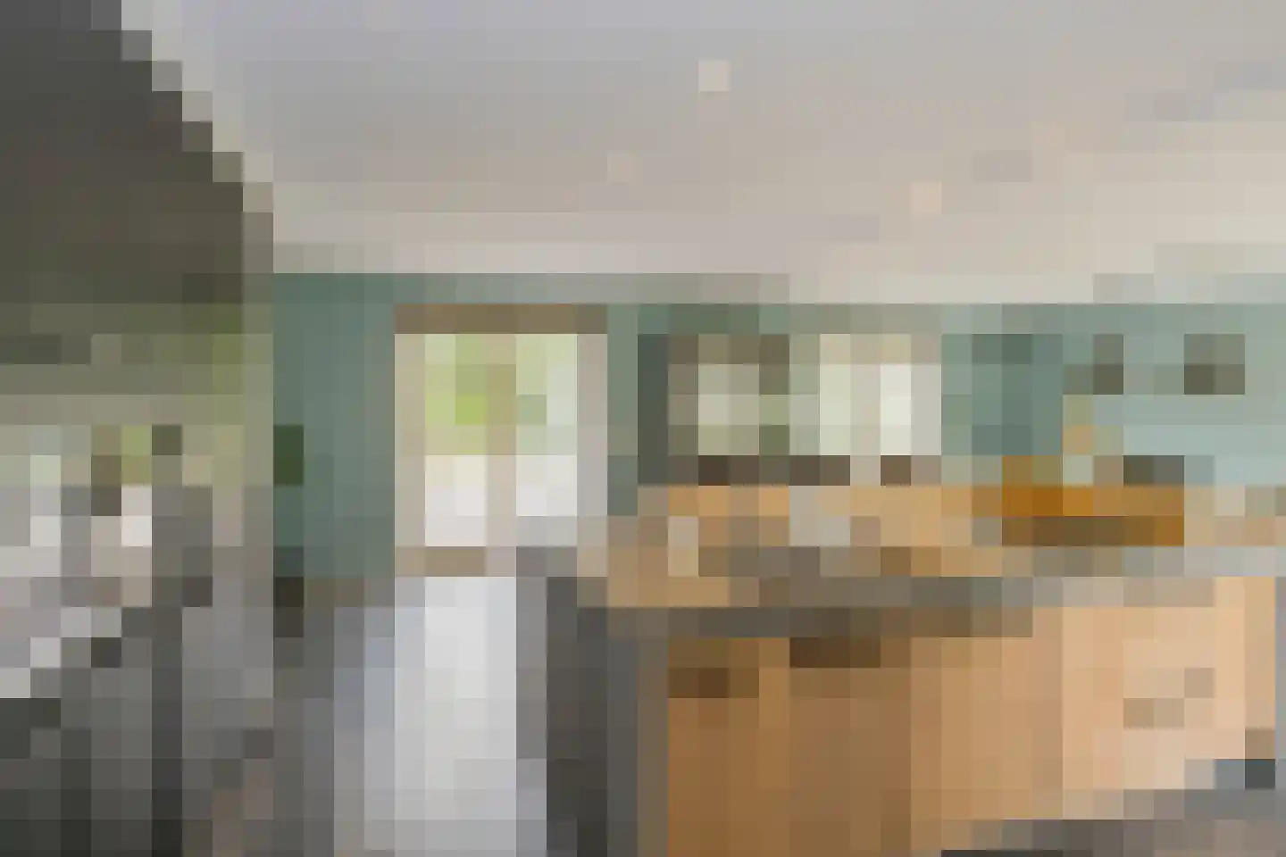 Zeester 97 Katwijk thumbnail 23