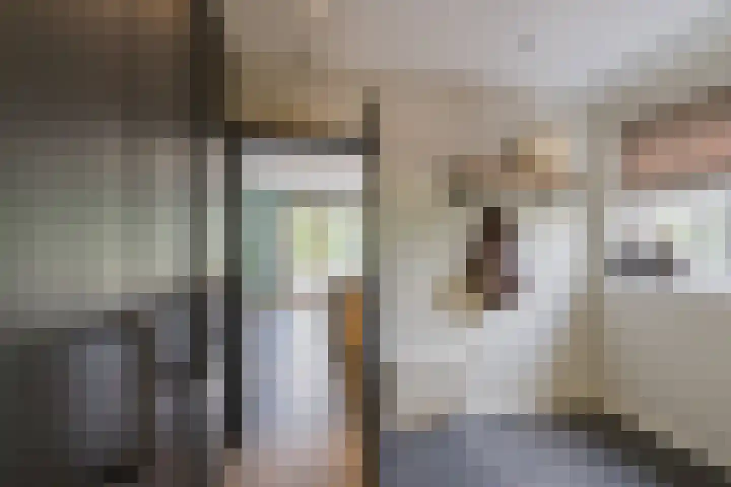 Zeester 97 Katwijk thumbnail 24