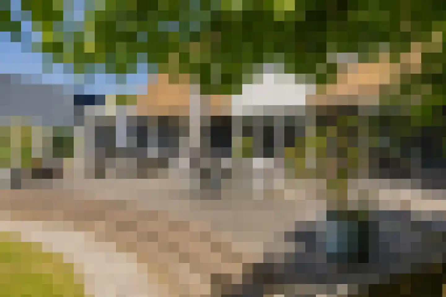 Zeester 97 Katwijk thumbnail 26