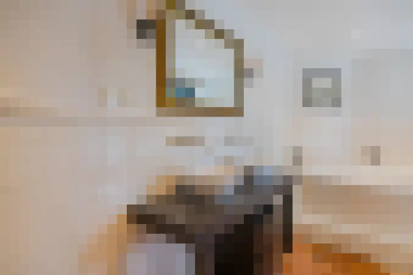Zeester 97 Katwijk thumbnail 35