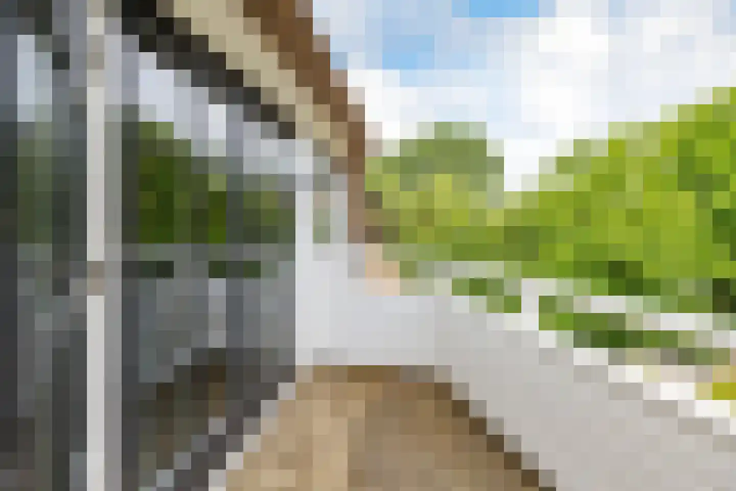 Zeester 97 Katwijk thumbnail 40