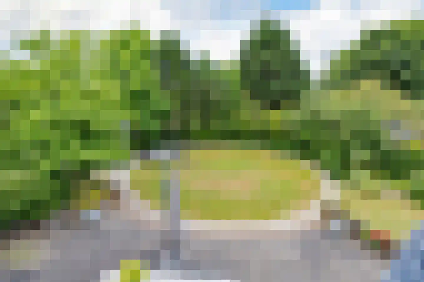 Zeester 97 Katwijk thumbnail 49