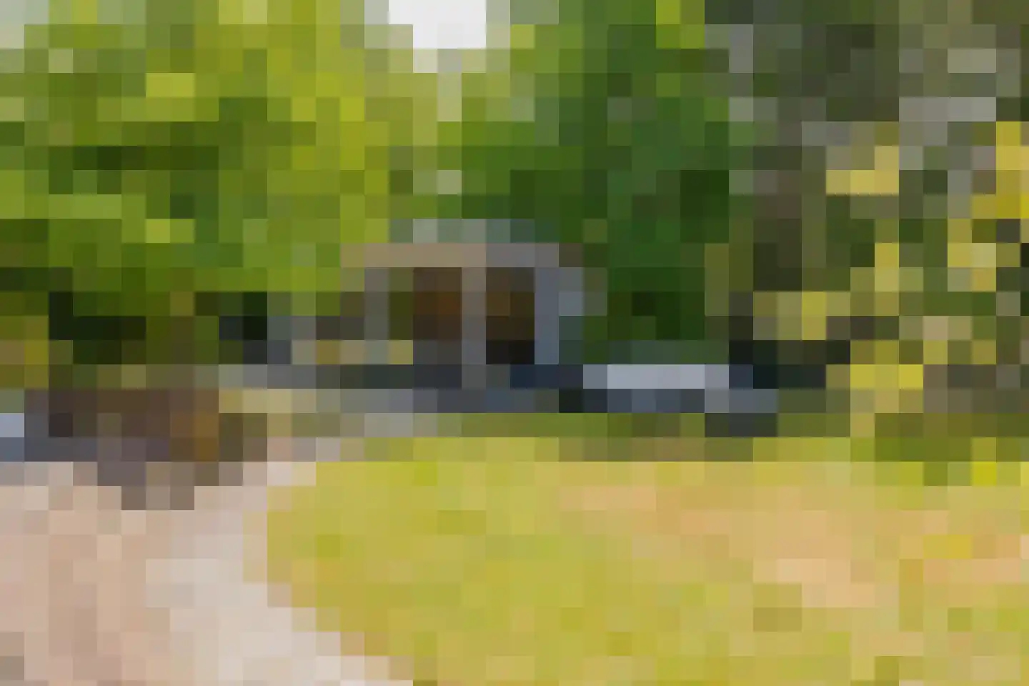 Zeester 97 Katwijk thumbnail 5