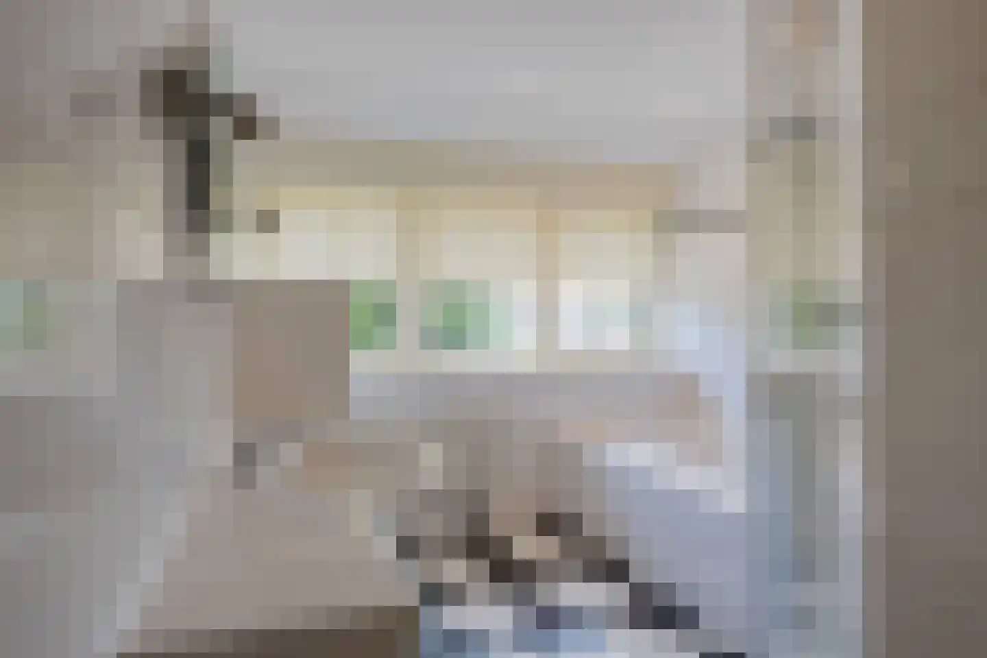 Zeester 97 Katwijk thumbnail 50