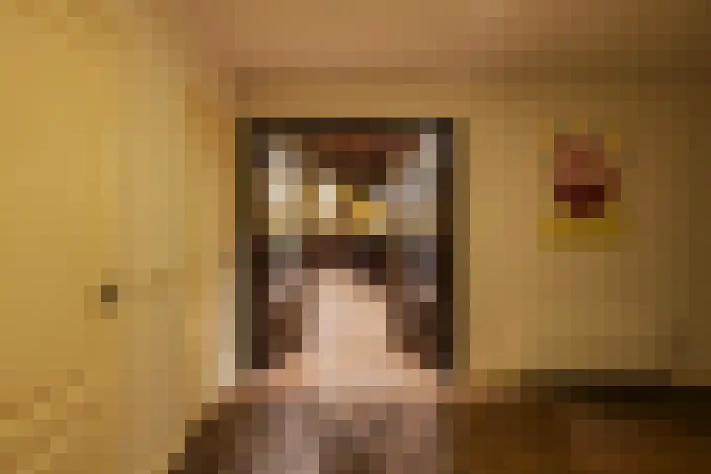 Zeester 97 Katwijk thumbnail 57