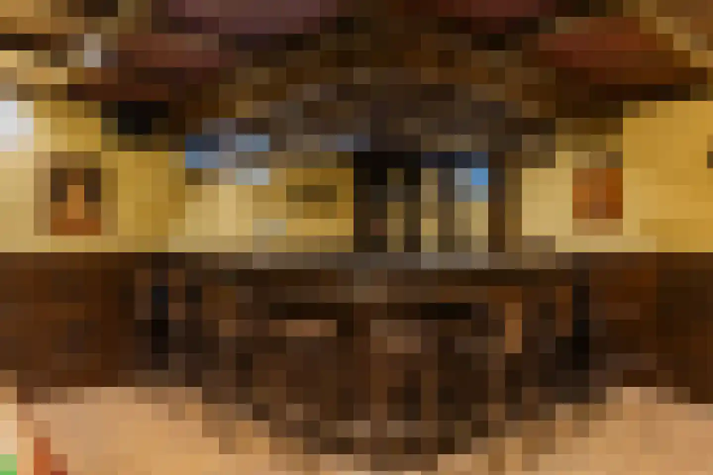 Zeester 97 Katwijk thumbnail 59