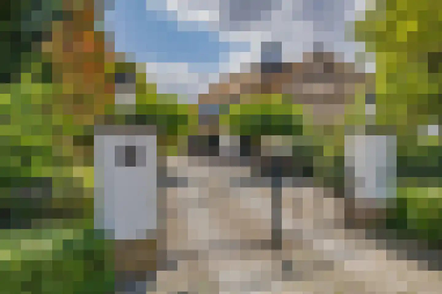 Zeester 97 Katwijk thumbnail 6