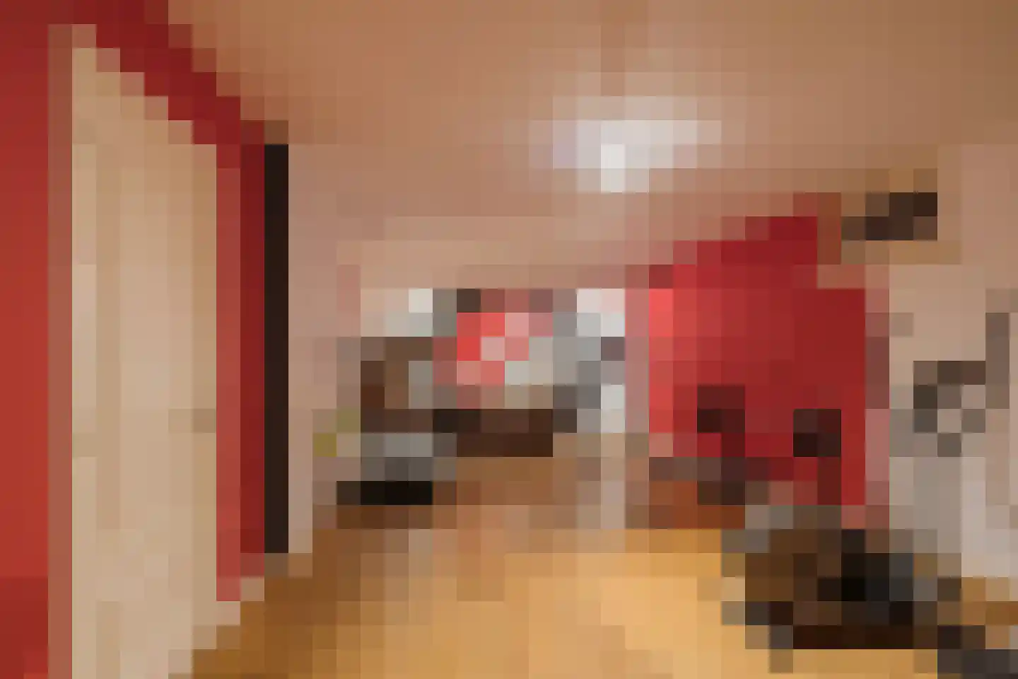 Zeester 97 Katwijk thumbnail 61