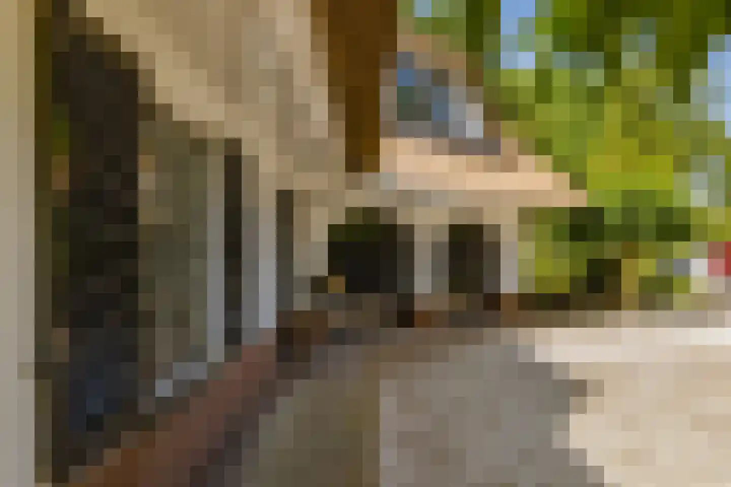 Zeester 97 Katwijk thumbnail 63