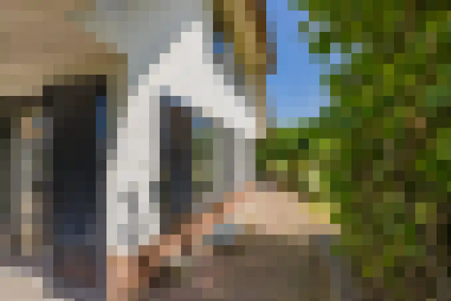 Zeester 97 Katwijk thumbnail 64