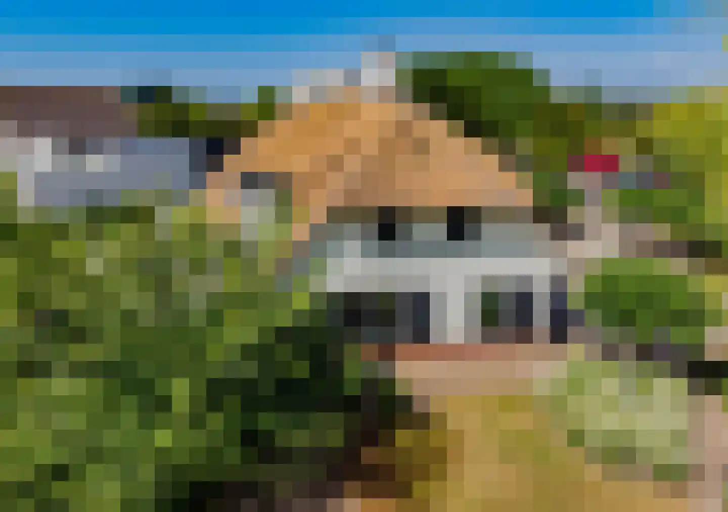 Zeester 97 Katwijk thumbnail 65