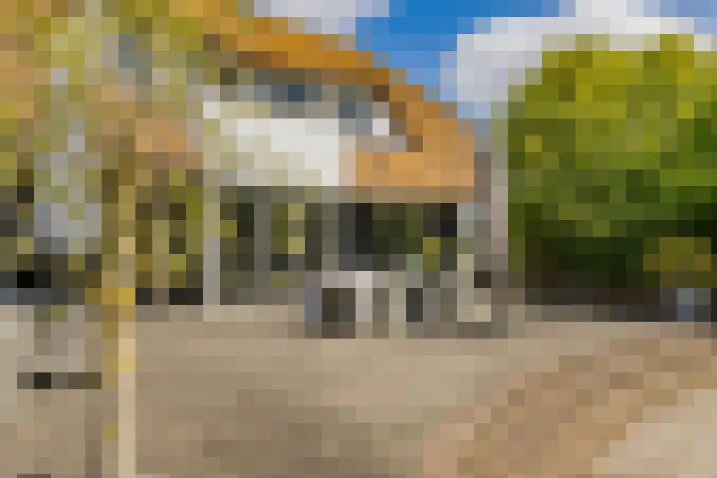 Zeester 97 Katwijk thumbnail 66