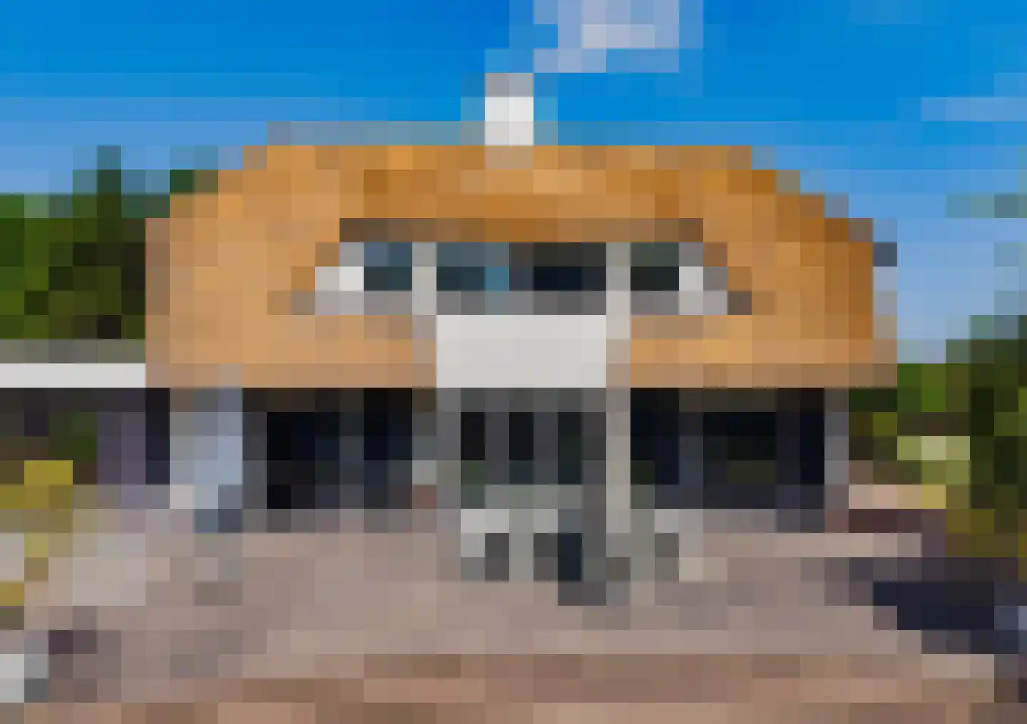 Zeester 97 Katwijk thumbnail 67