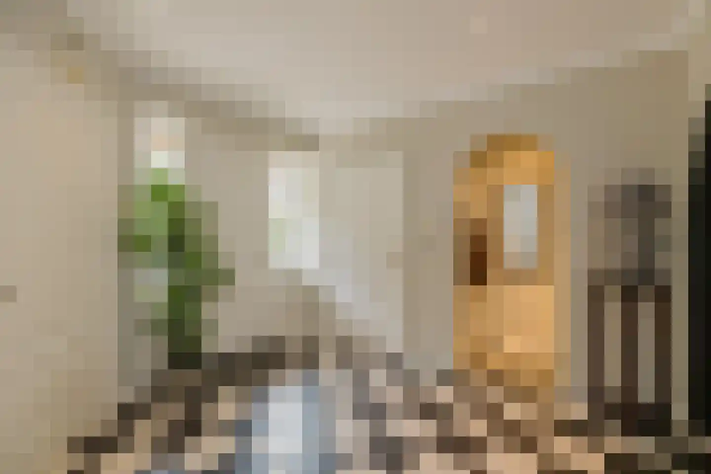Zeester 97 Katwijk thumbnail 7