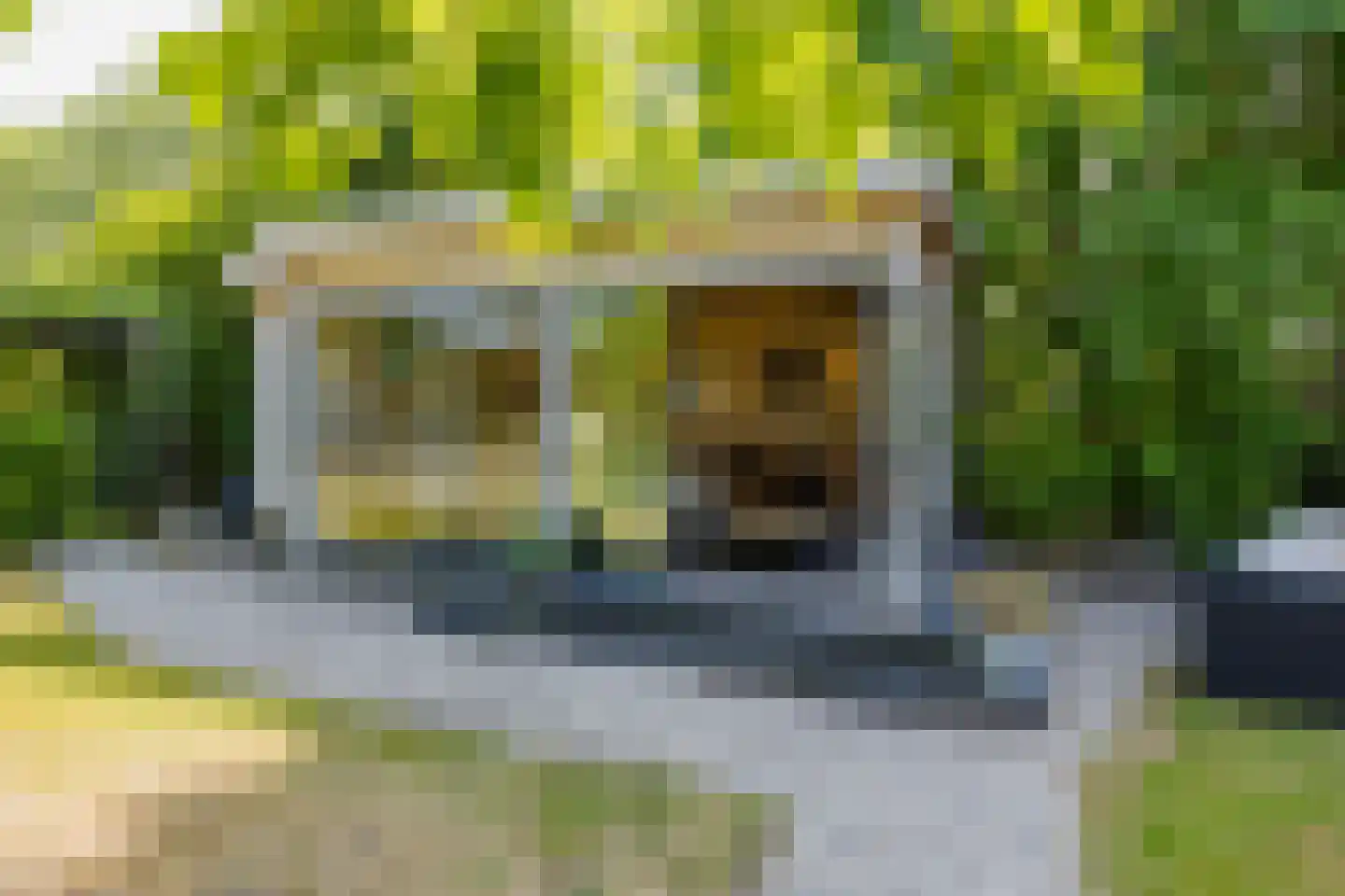 Zeester 97 Katwijk thumbnail 71