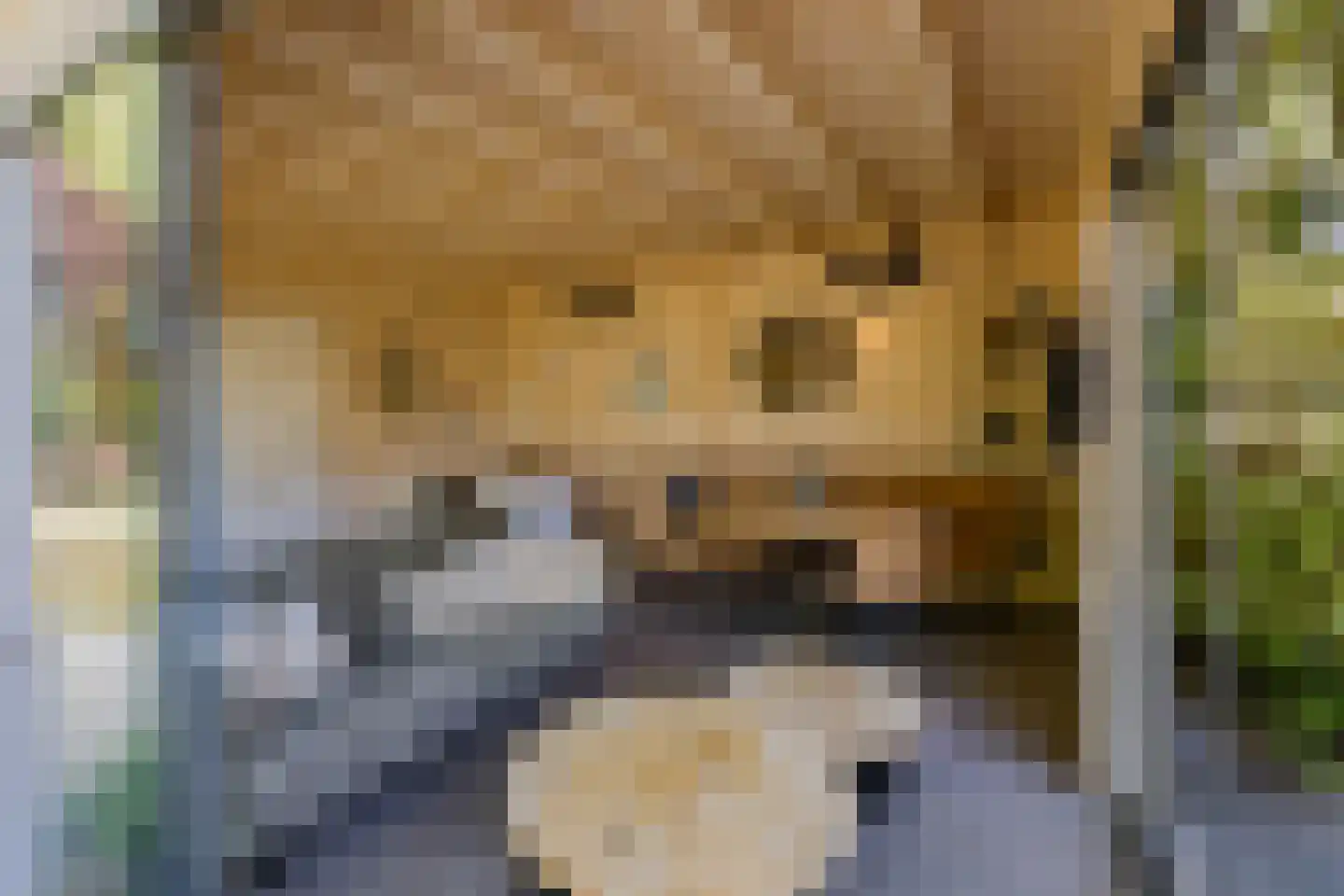 Zeester 97 Katwijk thumbnail 72
