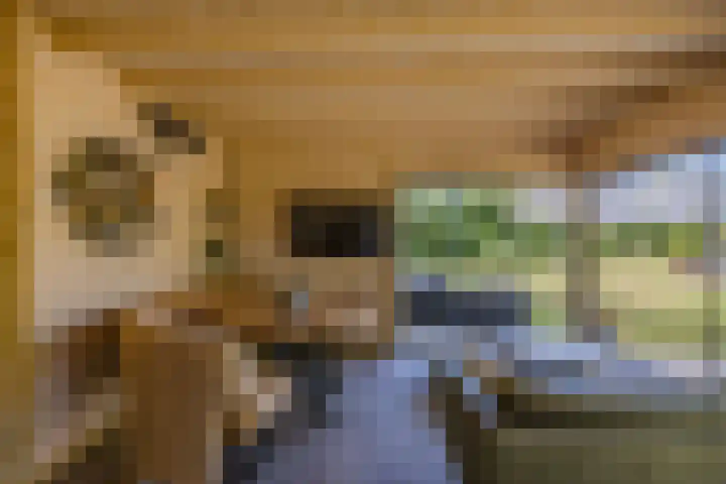 Zeester 97 Katwijk thumbnail 73