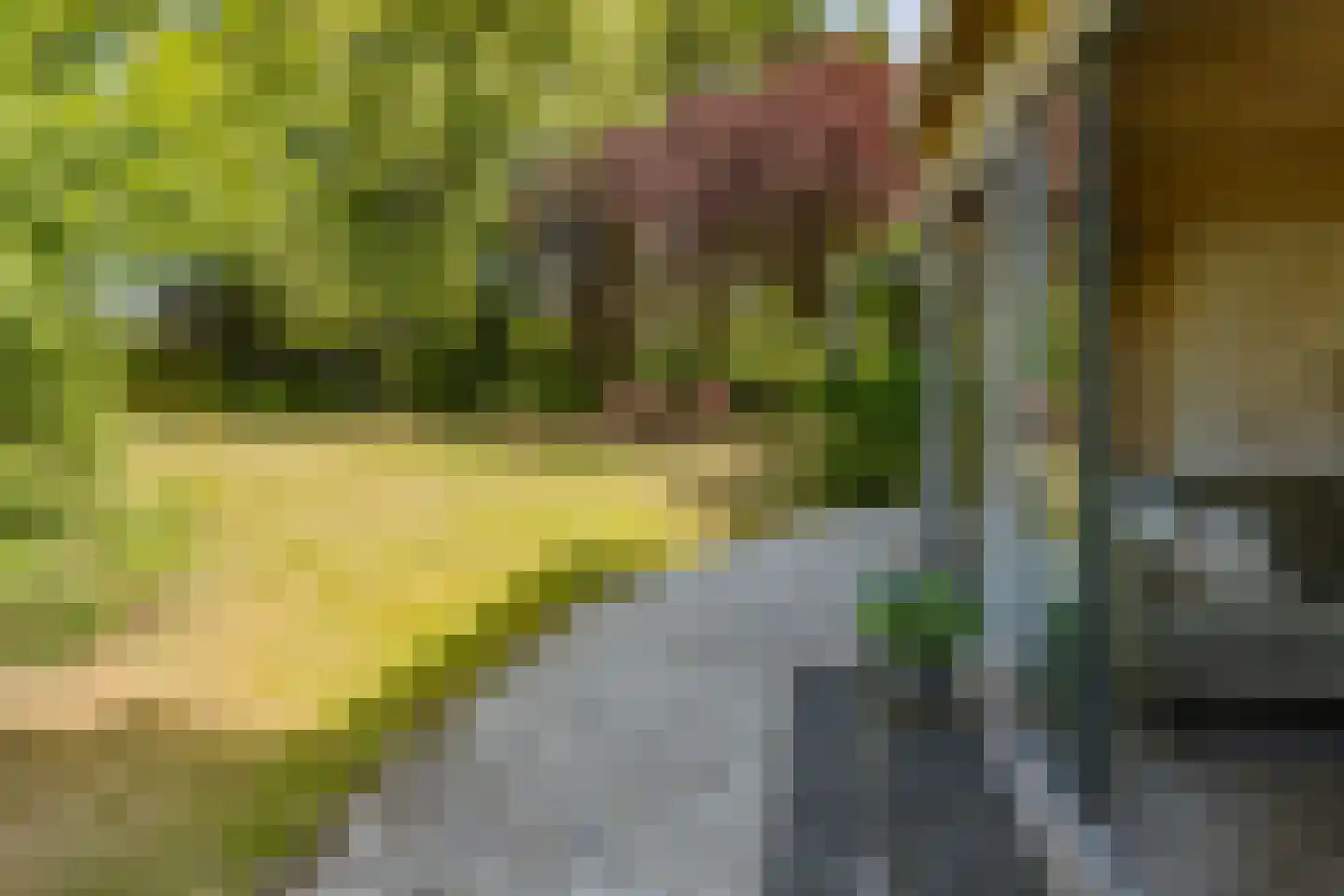 Zeester 97 Katwijk thumbnail 74