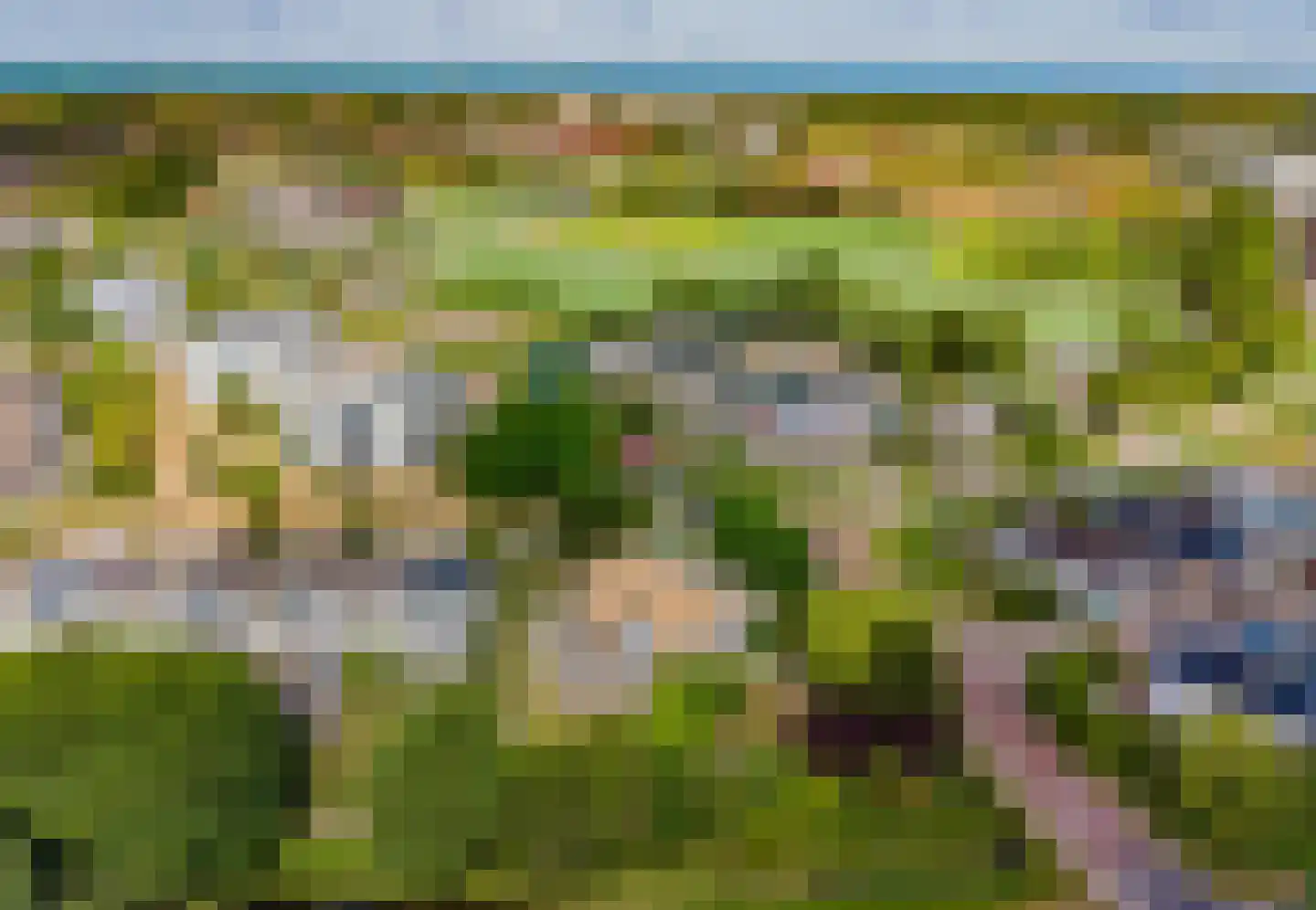 Zeester 97 Katwijk thumbnail 81