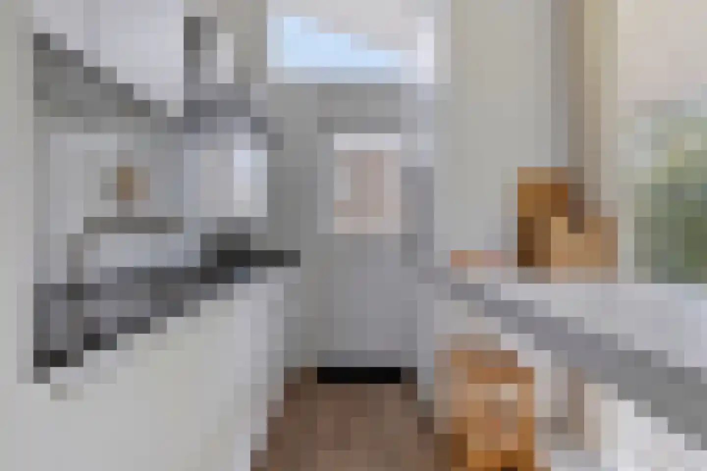 Zeesterlaan 12 Oostkapelle thumbnail 4