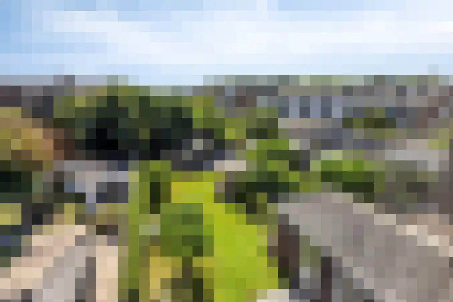 Zeesterpad 6 Hoek van Holland thumbnail 28