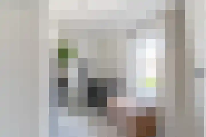 Zeestraat 10 Harderwijk thumbnail 25