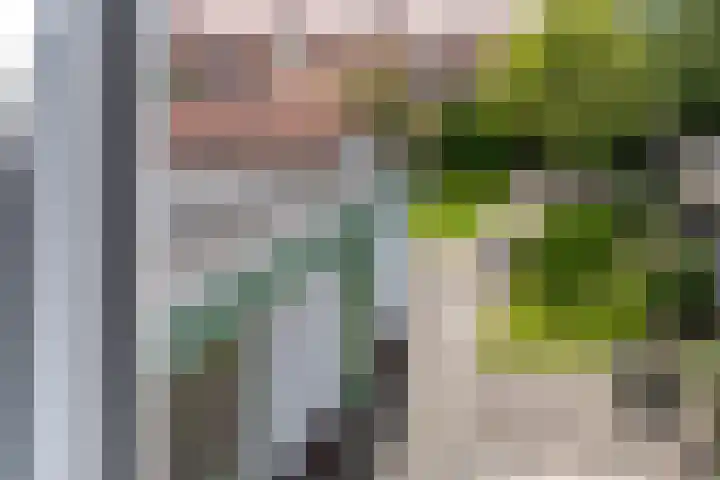 Zeestraat 10 Harderwijk thumbnail 30