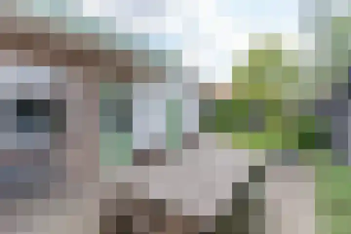 Zeestraat 10 Harderwijk thumbnail 31