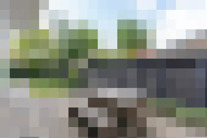 Zeestraat 10 Harderwijk thumbnail 32