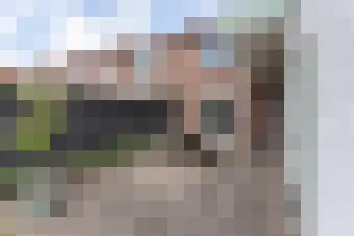 Zeestraat 10 Harderwijk thumbnail 33