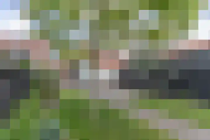 Zeestraat 10 Harderwijk thumbnail 34