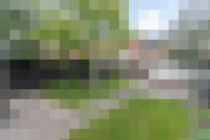 Zeestraat 10 Harderwijk thumbnail 35