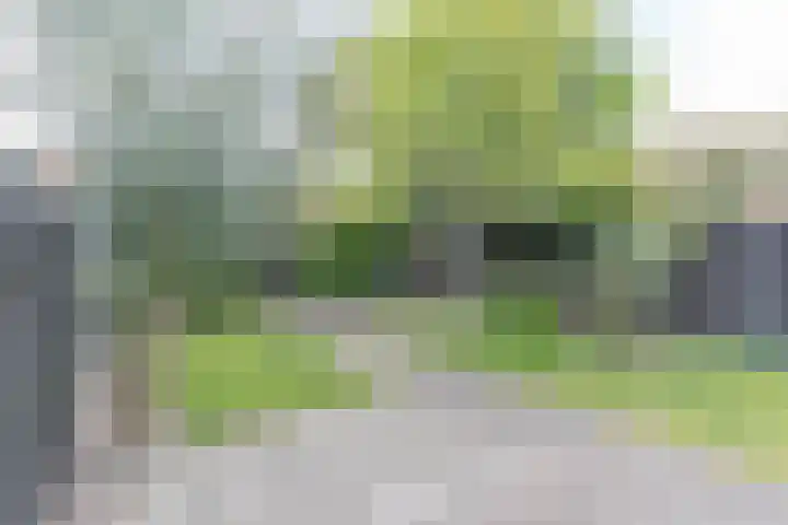 Zeestraat 10 Harderwijk thumbnail 6