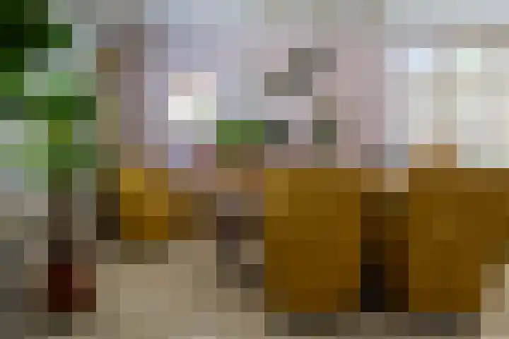 Zeestraat 12 's-Gravenzande thumbnail 5