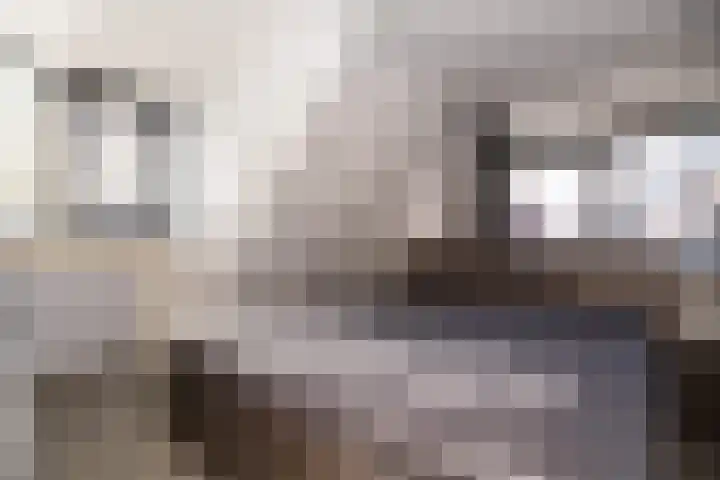 Zeestraat 15 Den Oever thumbnail 10