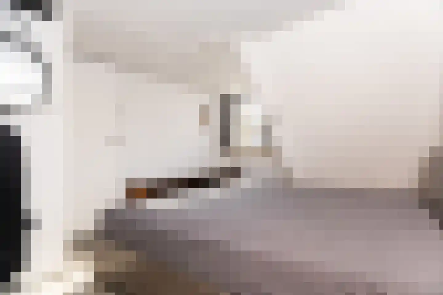 Zeestraat 15 Den Oever thumbnail 11