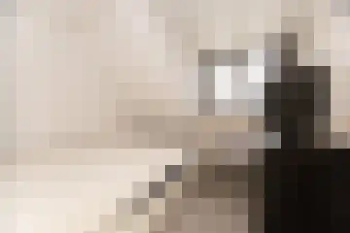 Zeestraat 15 Den Oever thumbnail 13